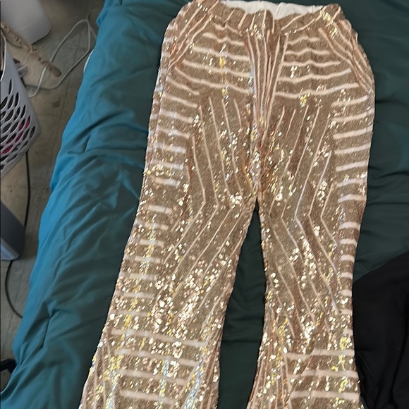 Sequin Striped Pants - Picture 1 of 1
